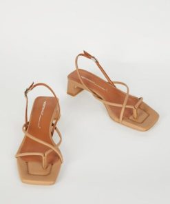 Terrainshop.shop19dacf930b 1