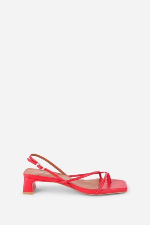 Terrainshop.shop19dacf930b 10