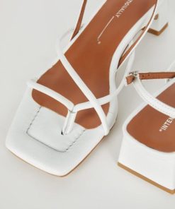 Terrainshop.shop19dacf930b 2