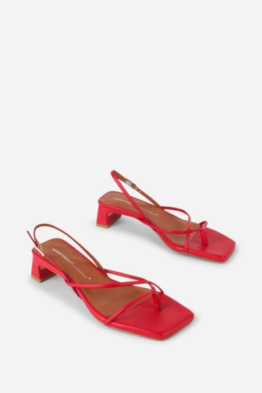 Terrainshop.shop19dacf930b 5