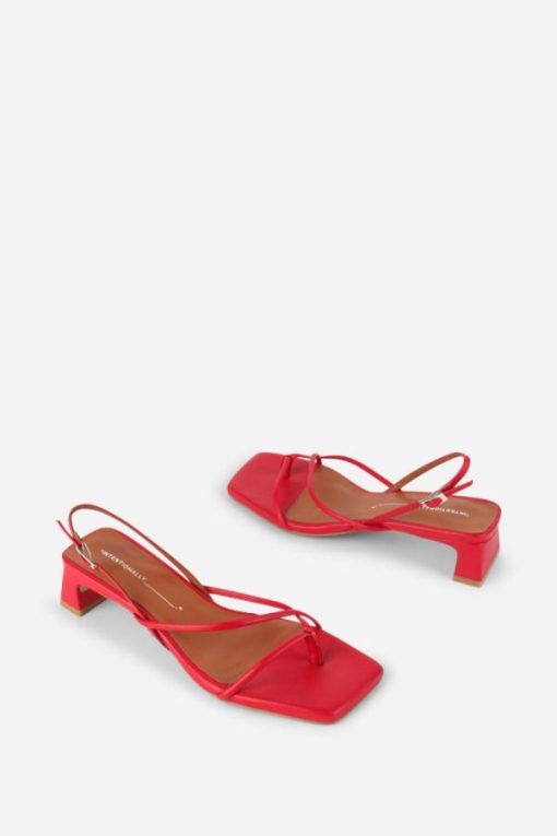 Terrainshop.shop19dacf930b 7