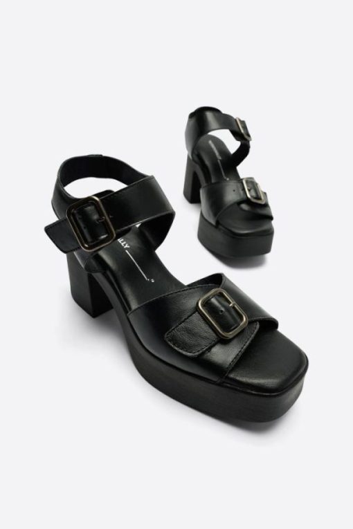 Terrainshop.shop2038ee01c0 1