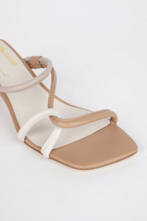 Terrainshop.shop258598ed56 3