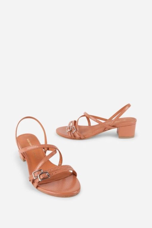 Terrainshop.shop283445aa03 1