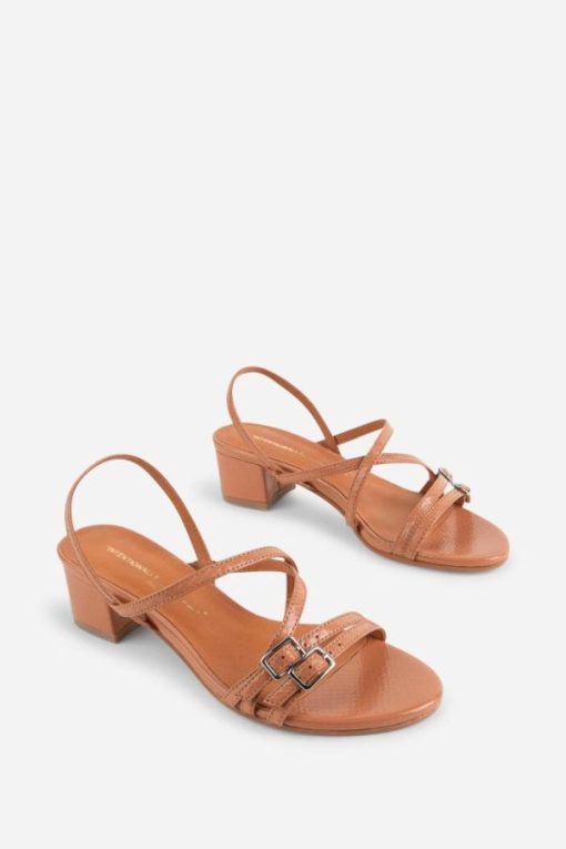 Terrainshop.shop283445aa03 10