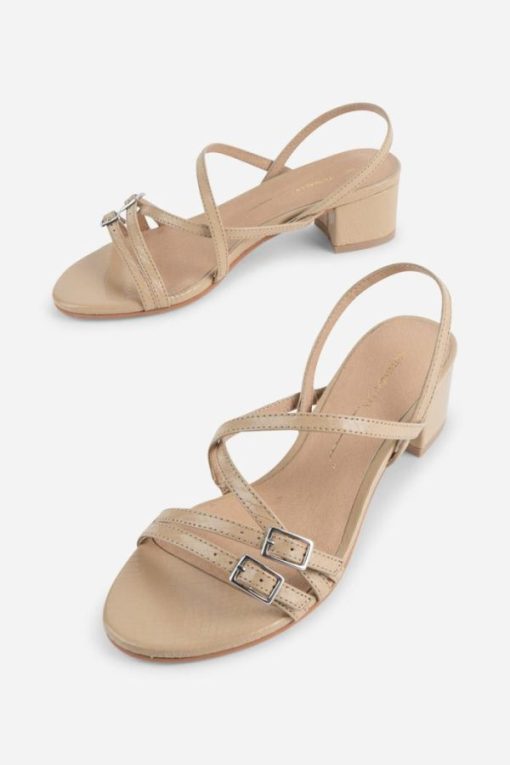 Terrainshop.shop283445aa03 4