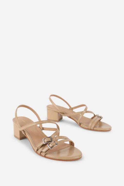 Terrainshop.shop283445aa03 5