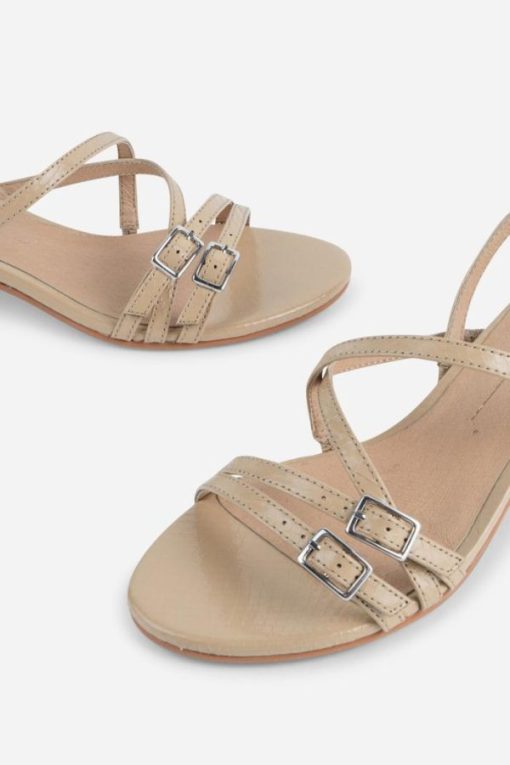 Terrainshop.shop283445aa03 6