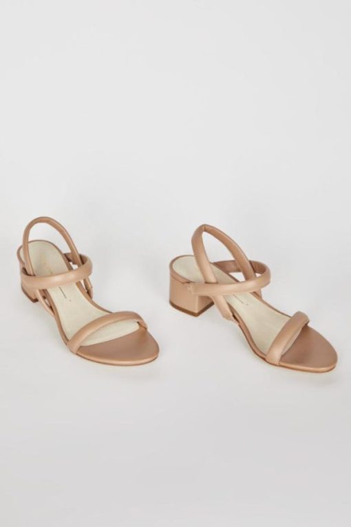 Terrainshop.shop395e6b3818 1