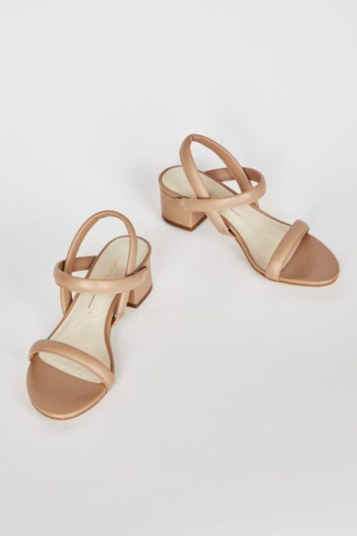Terrainshop.shop395e6b3818 11