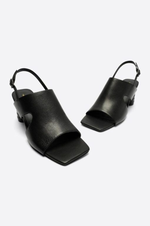 Terrainshop.shop3bdb6d4c5e 6