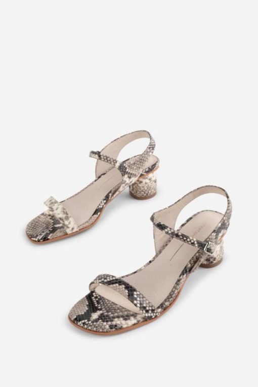 Terrainshop.shop422eb3d1f6 1