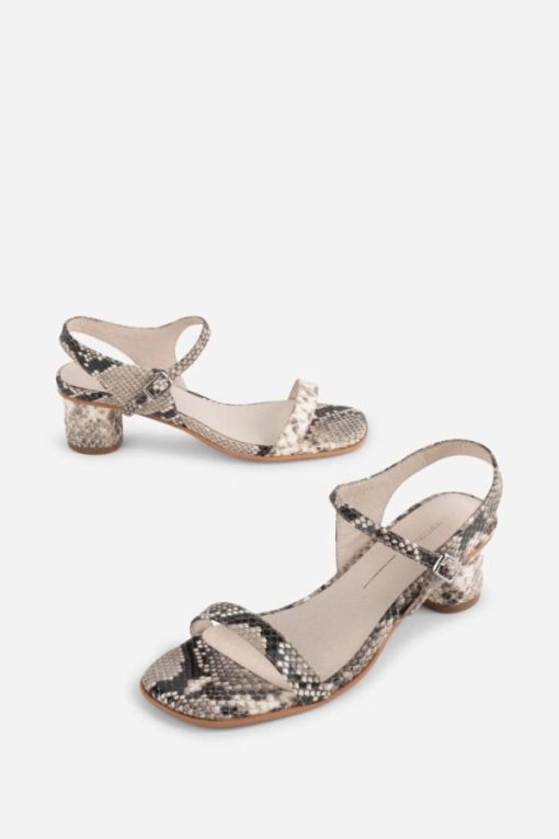 Terrainshop.shop422eb3d1f6 3