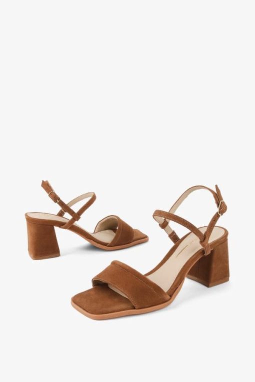 Terrainshop.shop4f6ca70965 5
