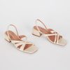 Terrainshop.shop7bd7e47d4f 1