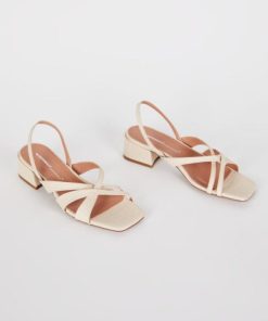 Terrainshop.shop7bd7e47d4f 1