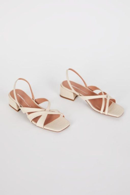 Terrainshop.shop7bd7e47d4f 1