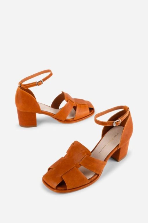 Terrainshop.shop83bf94ad0b 1