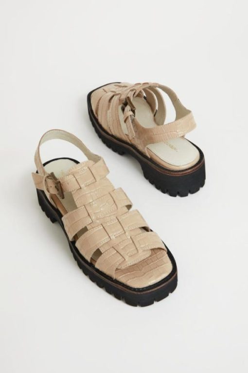 Terrainshop.shop8bf95d0f4f 12
