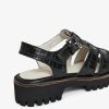 Terrainshop.shop8bf95d0f4f 3