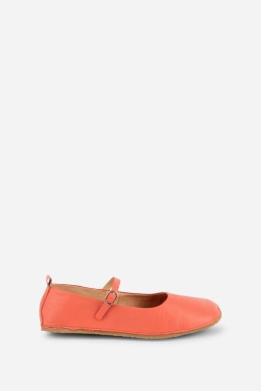 Terrainshop.shop8e090c4bb3 10