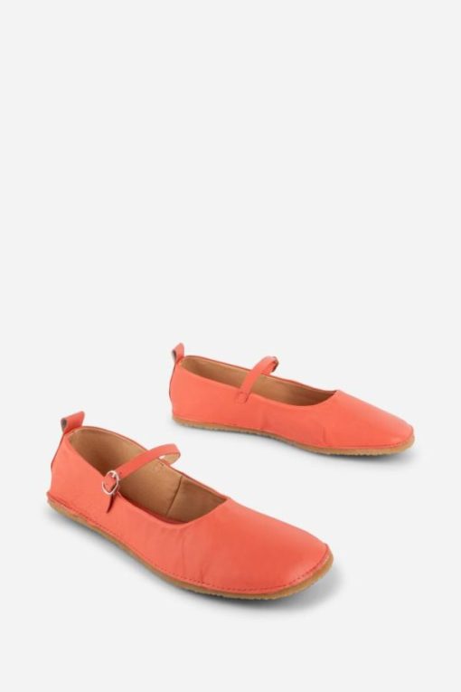 Terrainshop.shop8e090c4bb3 5