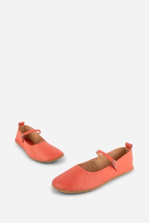 Terrainshop.shop8e090c4bb3 7
