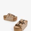 Terrainshop.shop975cc0ddab 1