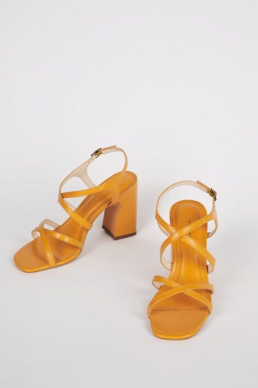Terrainshop.shop99da23d649 1