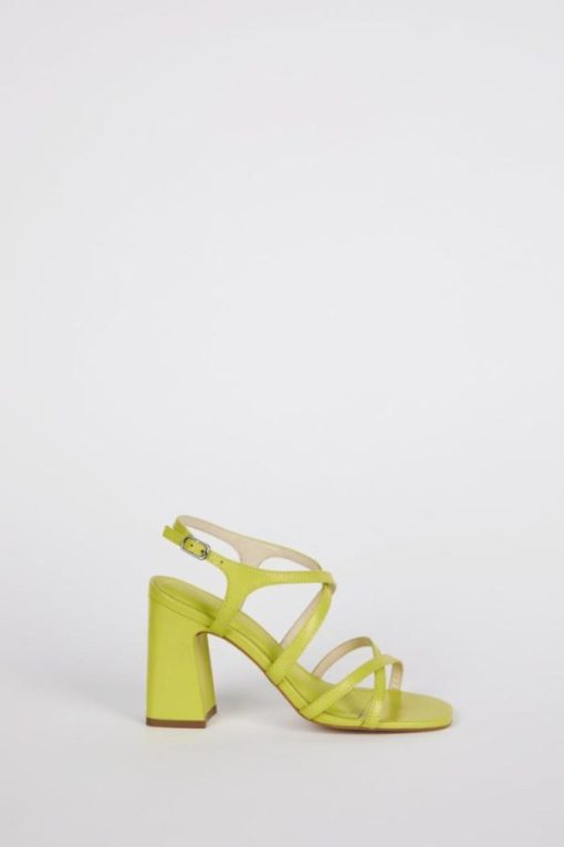 Terrainshop.shop99da23d649 4