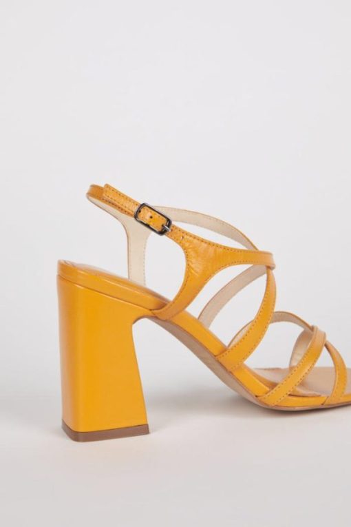 Terrainshop.shop99da23d649 8
