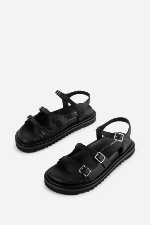 Terrainshop.shopab0d4975d0 10