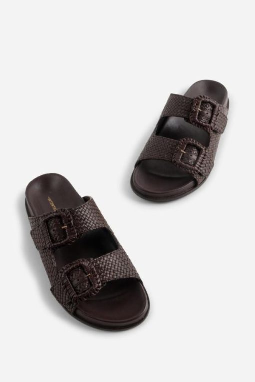 Terrainshop.shopd22a9aa36f 1