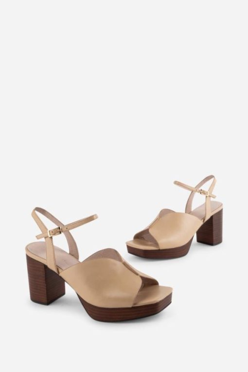 Terrainshop.shopd86e03d55a 1