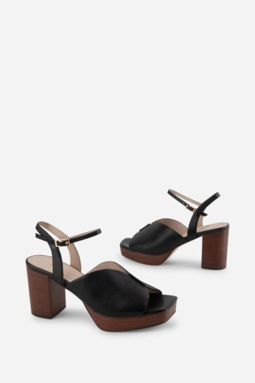 Terrainshop.shopd86e03d55a 10