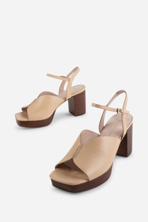 Terrainshop.shopd86e03d55a 4