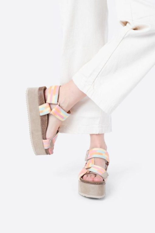 Terrainshop.shopd95e08e343 6