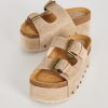Terrainshop.shopef6949d6d6 7