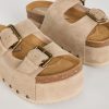 Terrainshop.shopef6949d6d6 8
